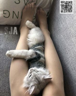 姐姐的朋友电影在线观看_BD英语神马影院手机在线