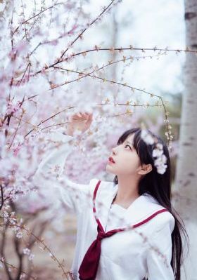 四大美人之西施_国产剧全集免费播放