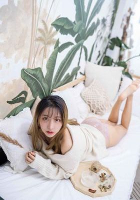 2024新杨门女将电视剧_HD高清视频播放